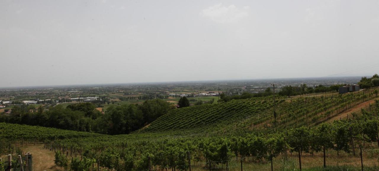 Terrazza San Vettore Camere Con Colazione, Relax In Collina Con Vista Sui Vigneti Docg Asolo 메이서 외부 사진