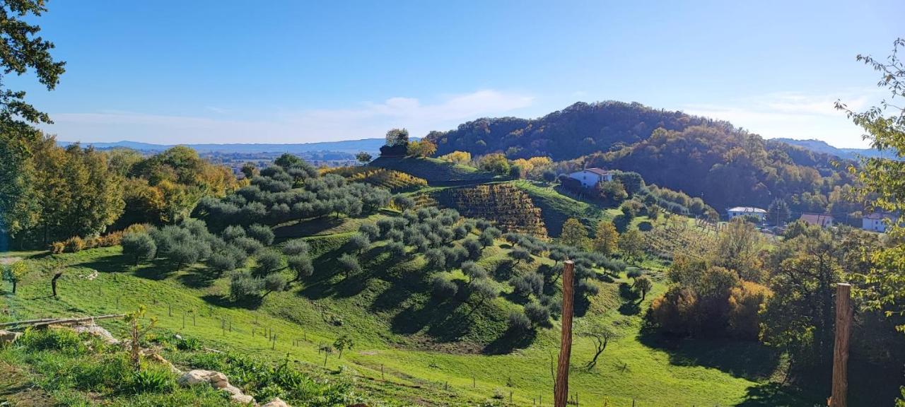 Terrazza San Vettore Camere Con Colazione, Relax In Collina Con Vista Sui Vigneti Docg Asolo 메이서 외부 사진